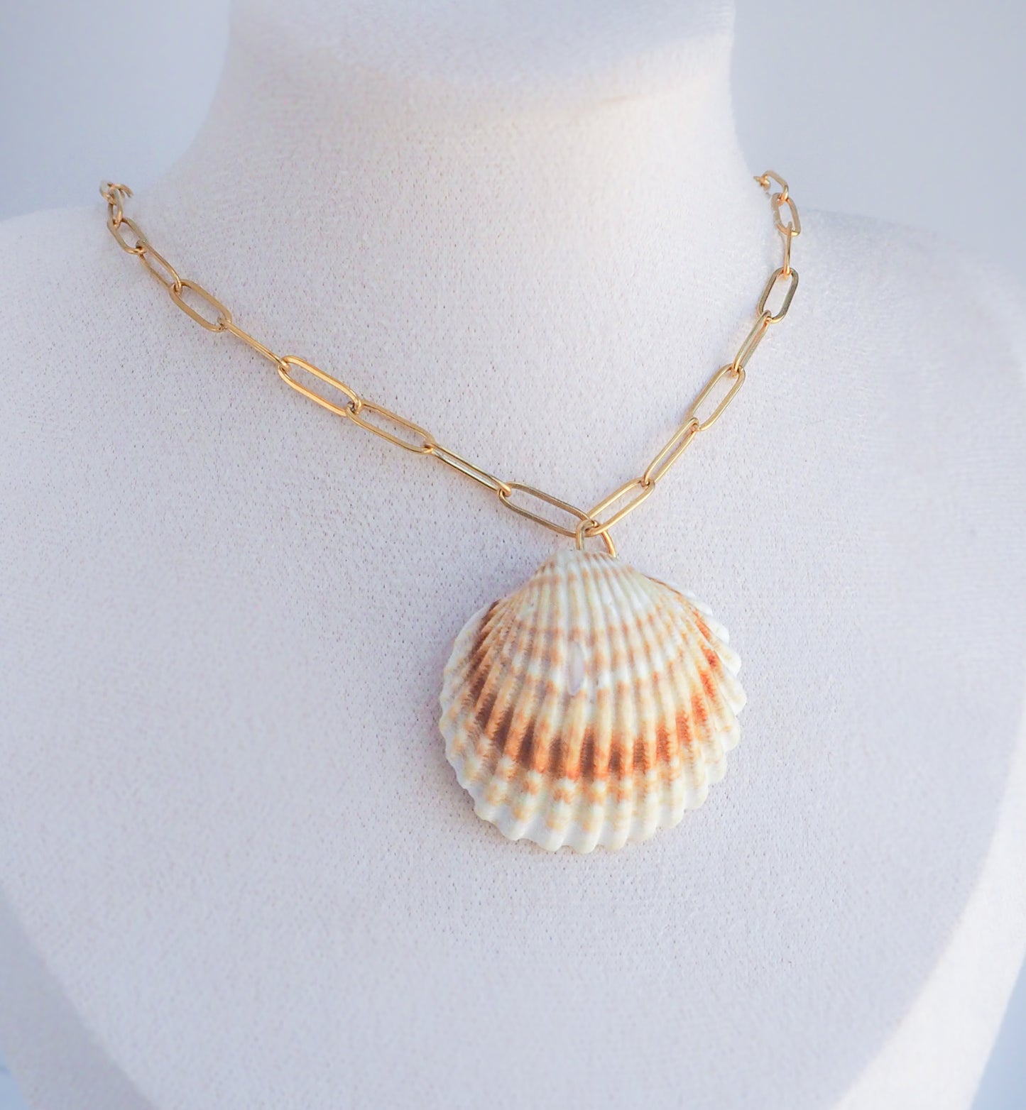 SEASHELL NECKLACE ~ Big Mediterranean Cockle Shell
