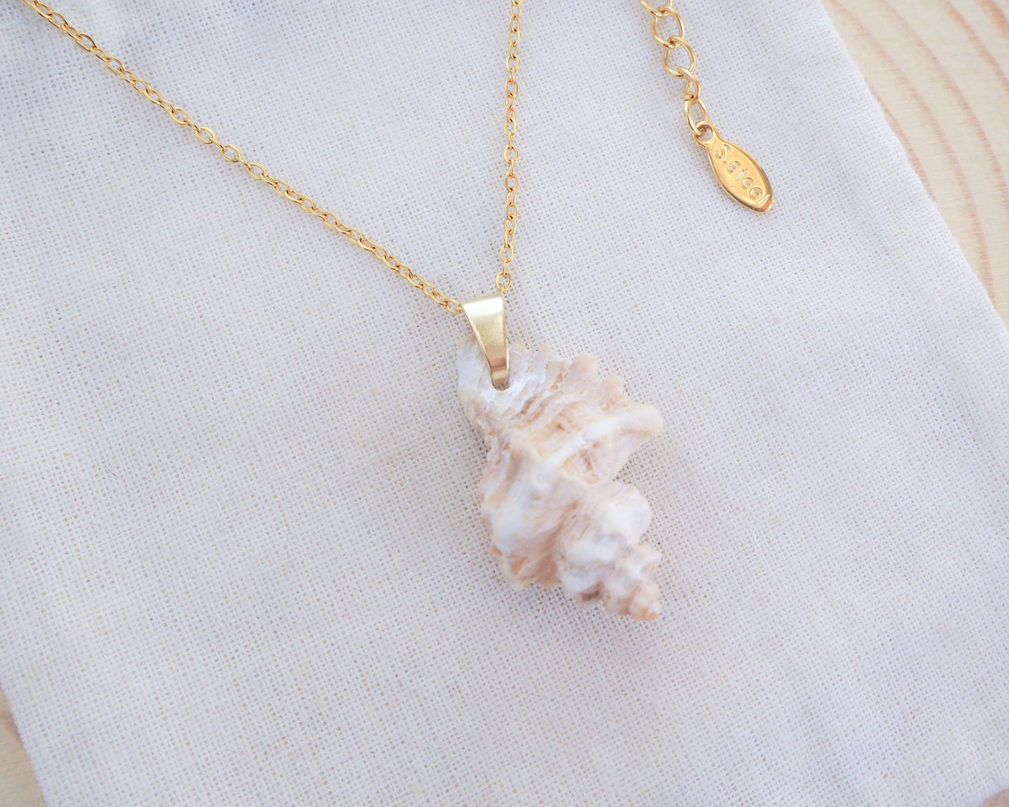 Gold Sting Winkle Shell Necklace from Portugal on display