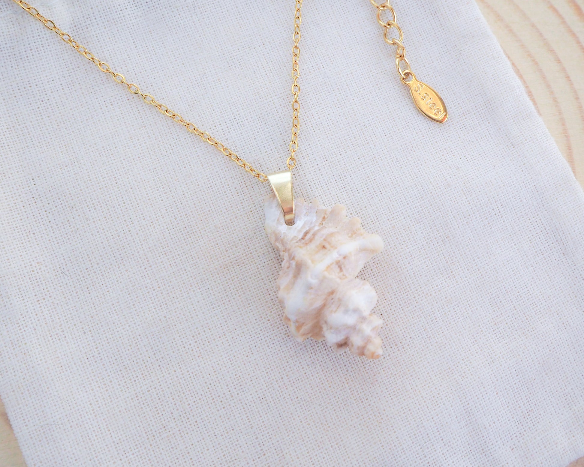 Gold Sting Winkle Shell Necklace from Portugal on display