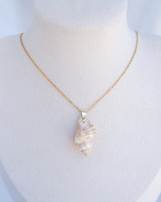 Gold Sting Winkle Shell Necklace from Portugal on neck