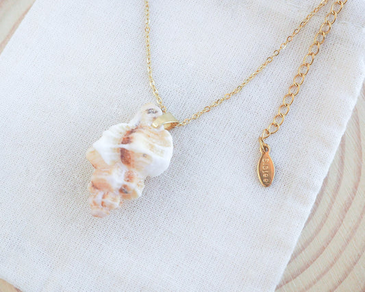 Sting Winkle Shell Gold Necklace from Portugal on display side