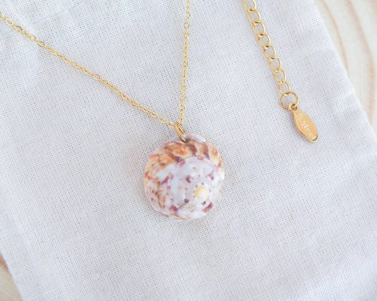 Side view of Sunny Magus Top Shell Necklace from Portugal on display