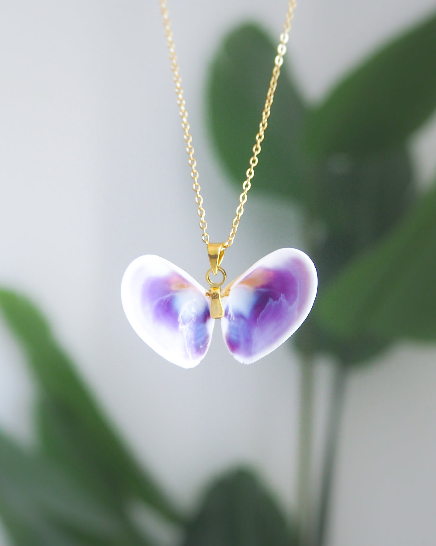 SEASHELL NECKLACE ~ Gold Butterfly Shell IV