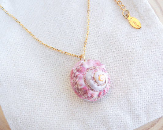 Soft Pink Shell Necklace, Pink Magus Top Shell from Portugal on display