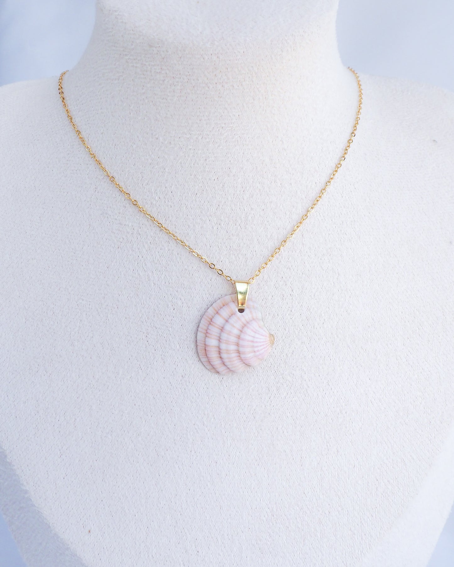 SEASHELL NECKLACE ~ Gold Strawberry Pink Striped Venus Shell