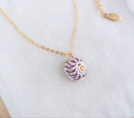 SEASHELL NECKLACE ~ Tiny Bordeaux Striped Top Shell