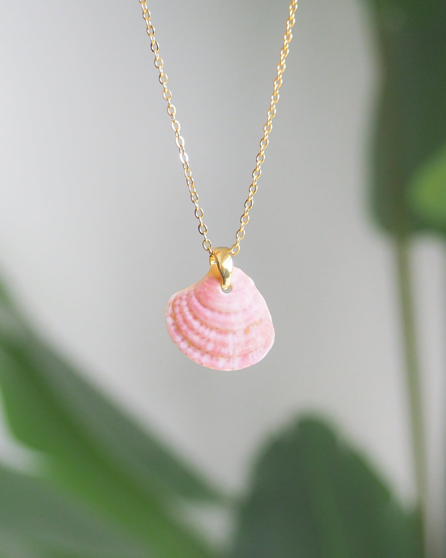 SEASHELL NECKLACE ~ Tiny Pink Venus Shell I