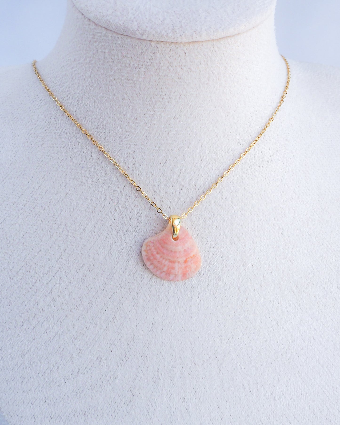 SEASHELL NECKLACE ~ Tiny Pink Venus Shell I