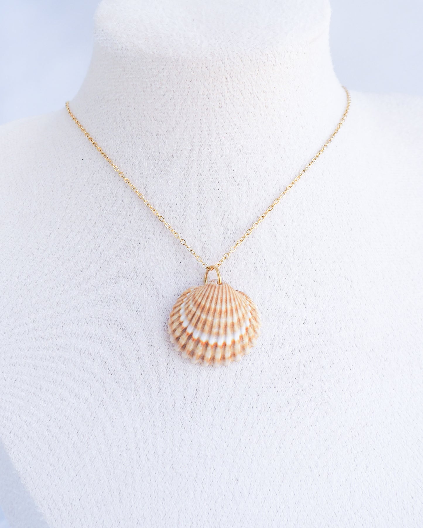 SEASHELL NECKLACE ~ Mediterranean Cockle Shell III