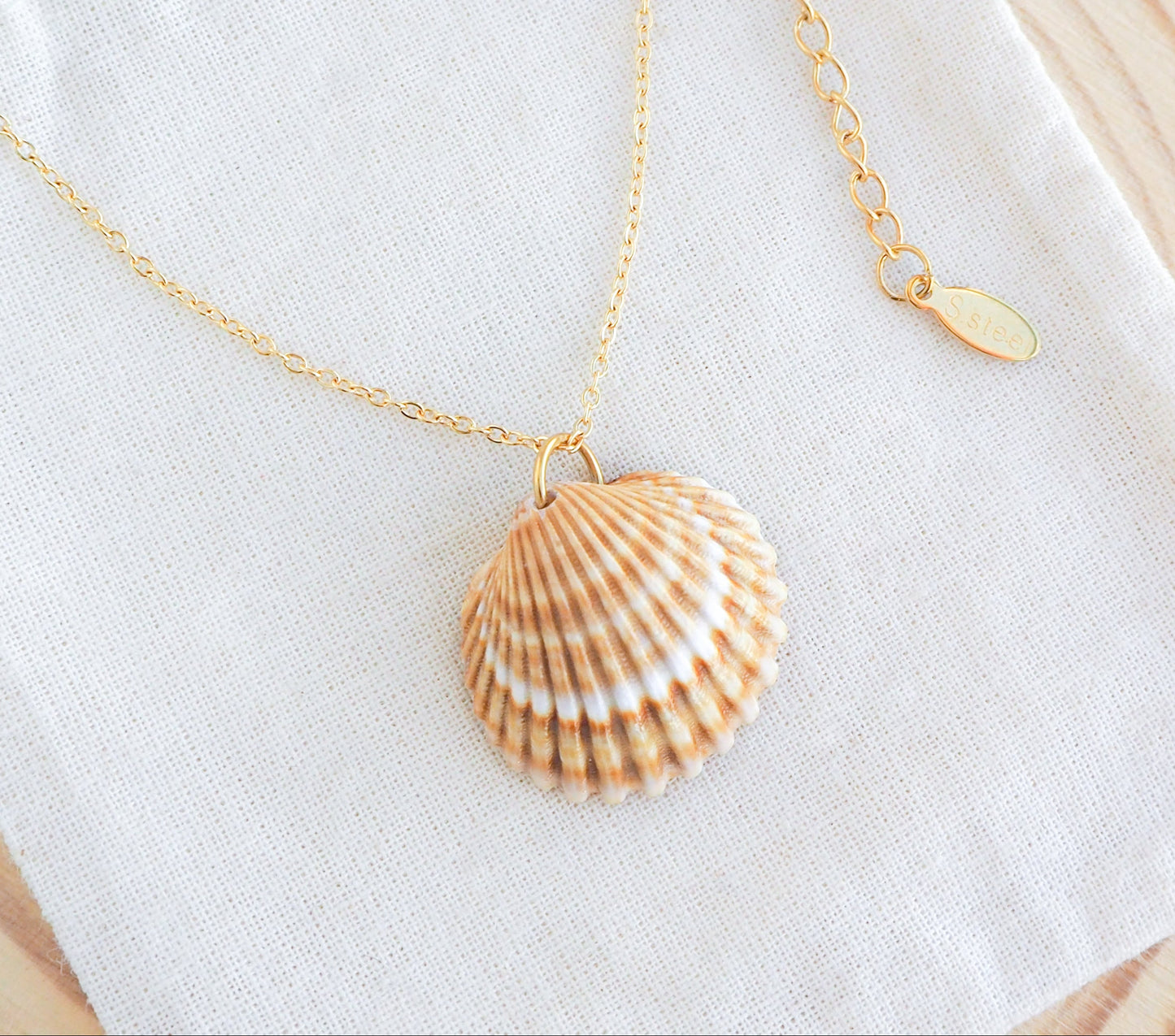 SEASHELL NECKLACE ~ Mediterranean Cockle Shell III