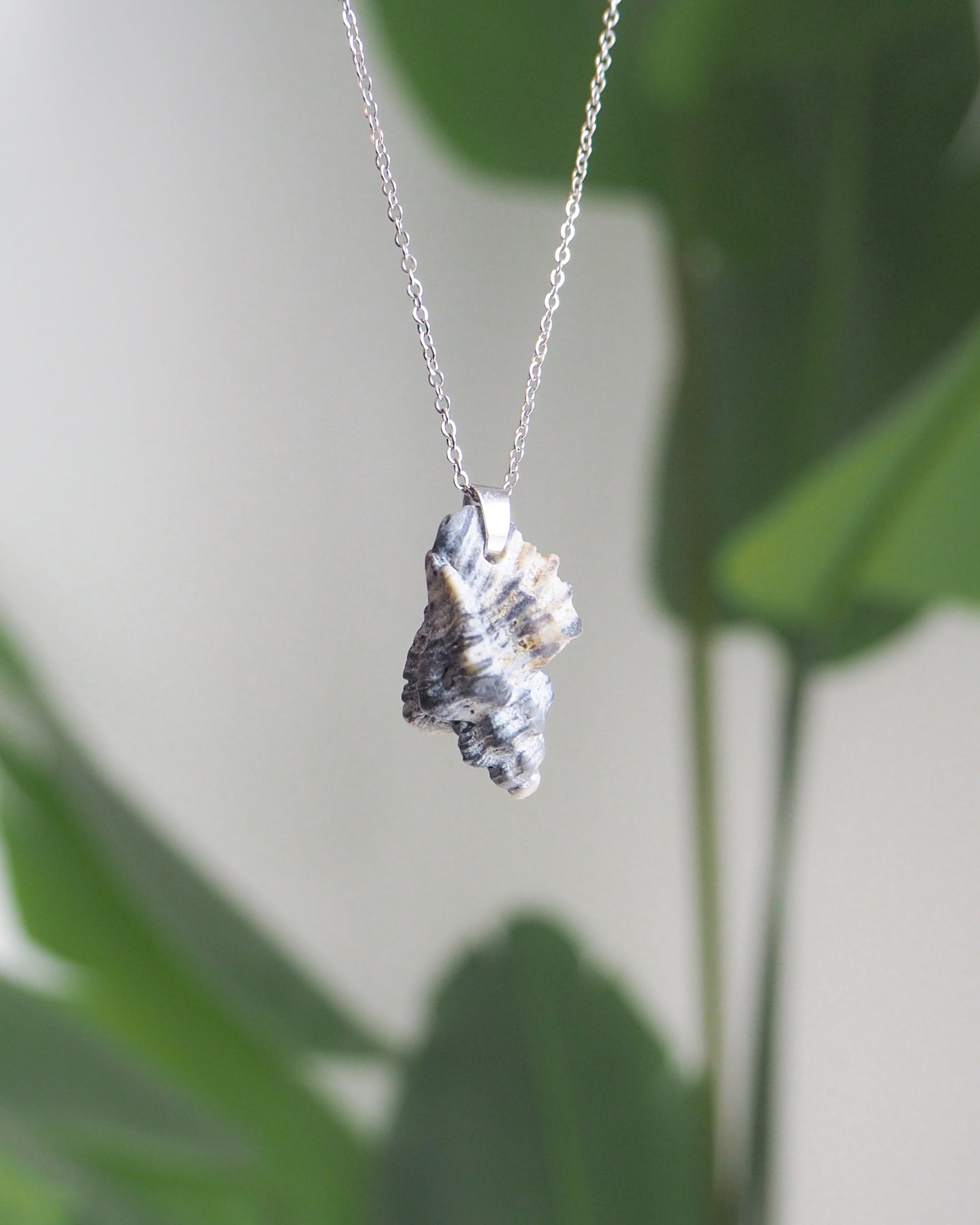 SEASHELL NECKLACE ~ Dark Grey Sting Winkle Shell