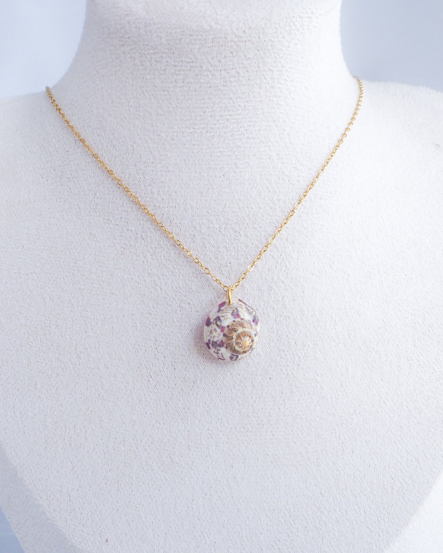 SEASHELL NECKLACE ~ White Fuchsia Magus Shell II