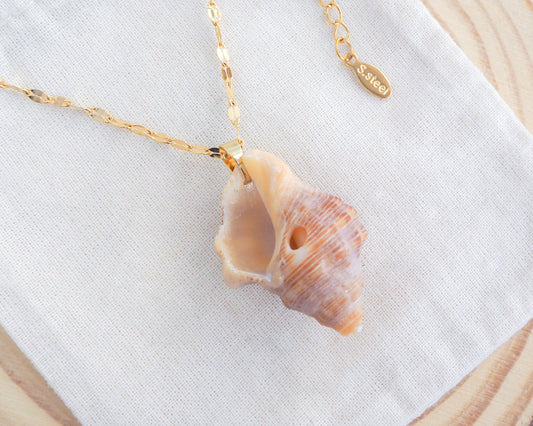 SEASHELL NECKLACE ~ Red-mouthed Dog Winkle Shell