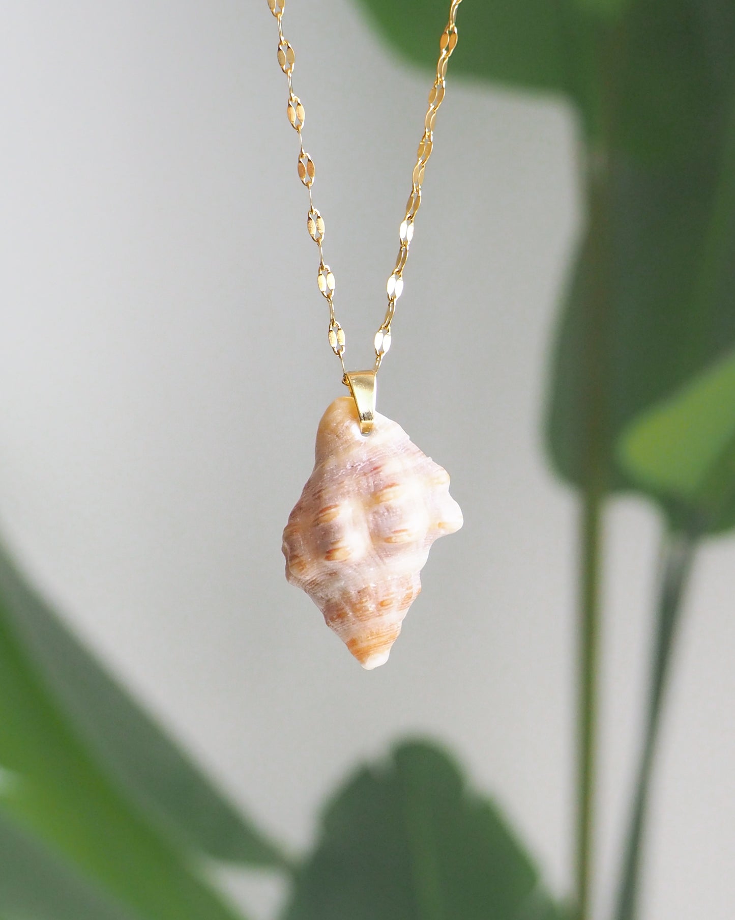 SEASHELL NECKLACE ~ Red-mouthed Dog Winkle Shell