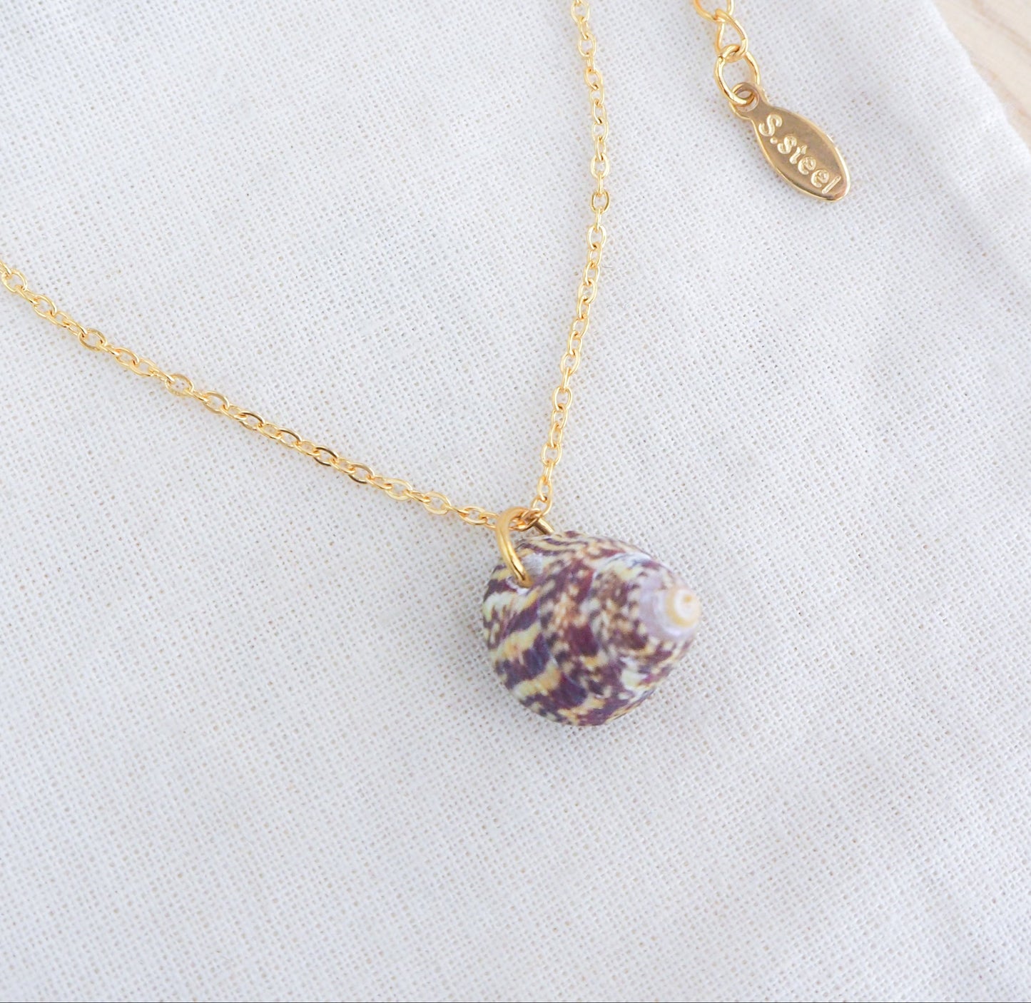SEASHELL NECKLACE ~ Red Rough Top Shell