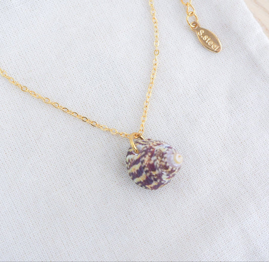 SEASHELL NECKLACE ~ Red Rough Top Shell