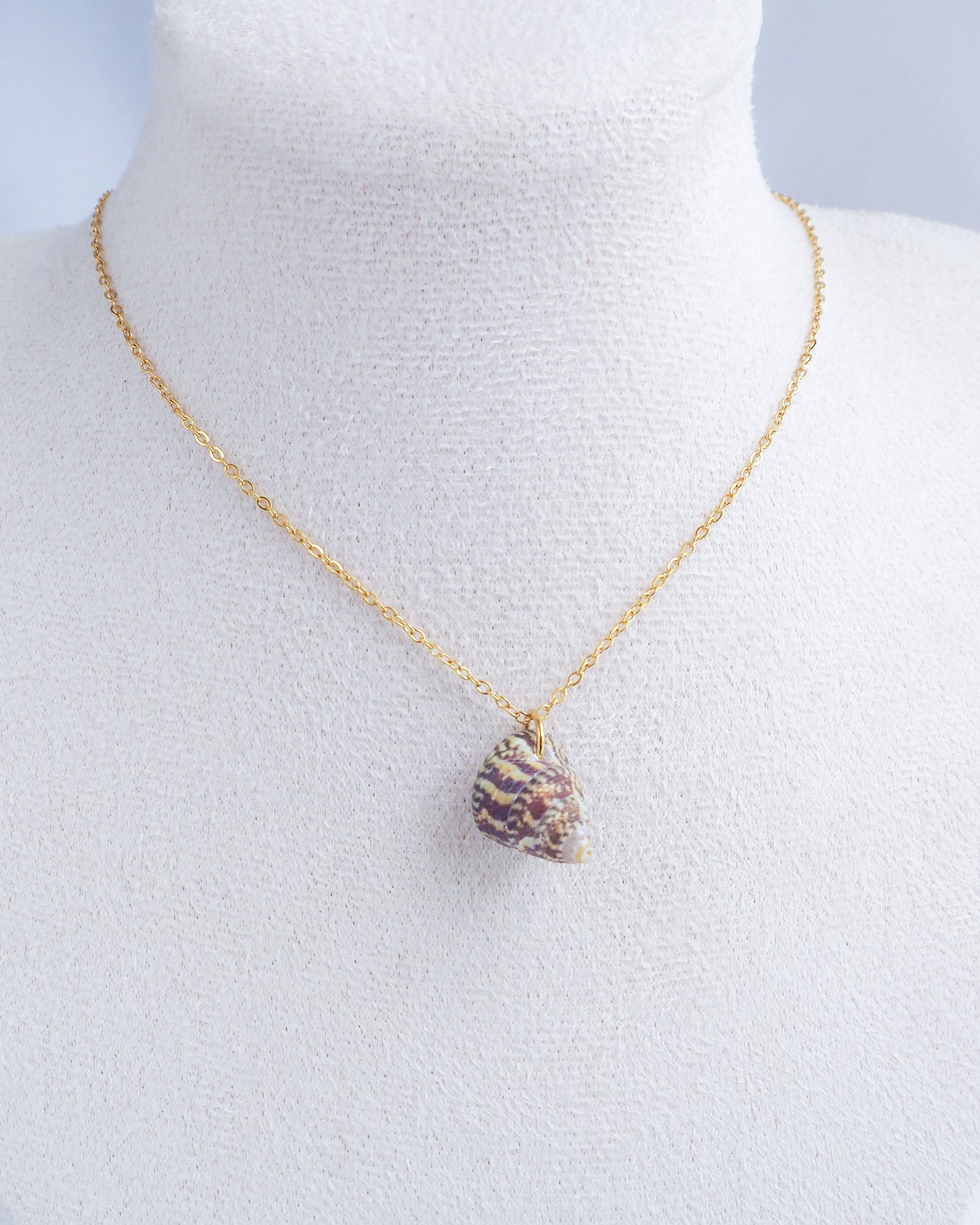 SEASHELL NECKLACE ~ Red Rough Top Shell