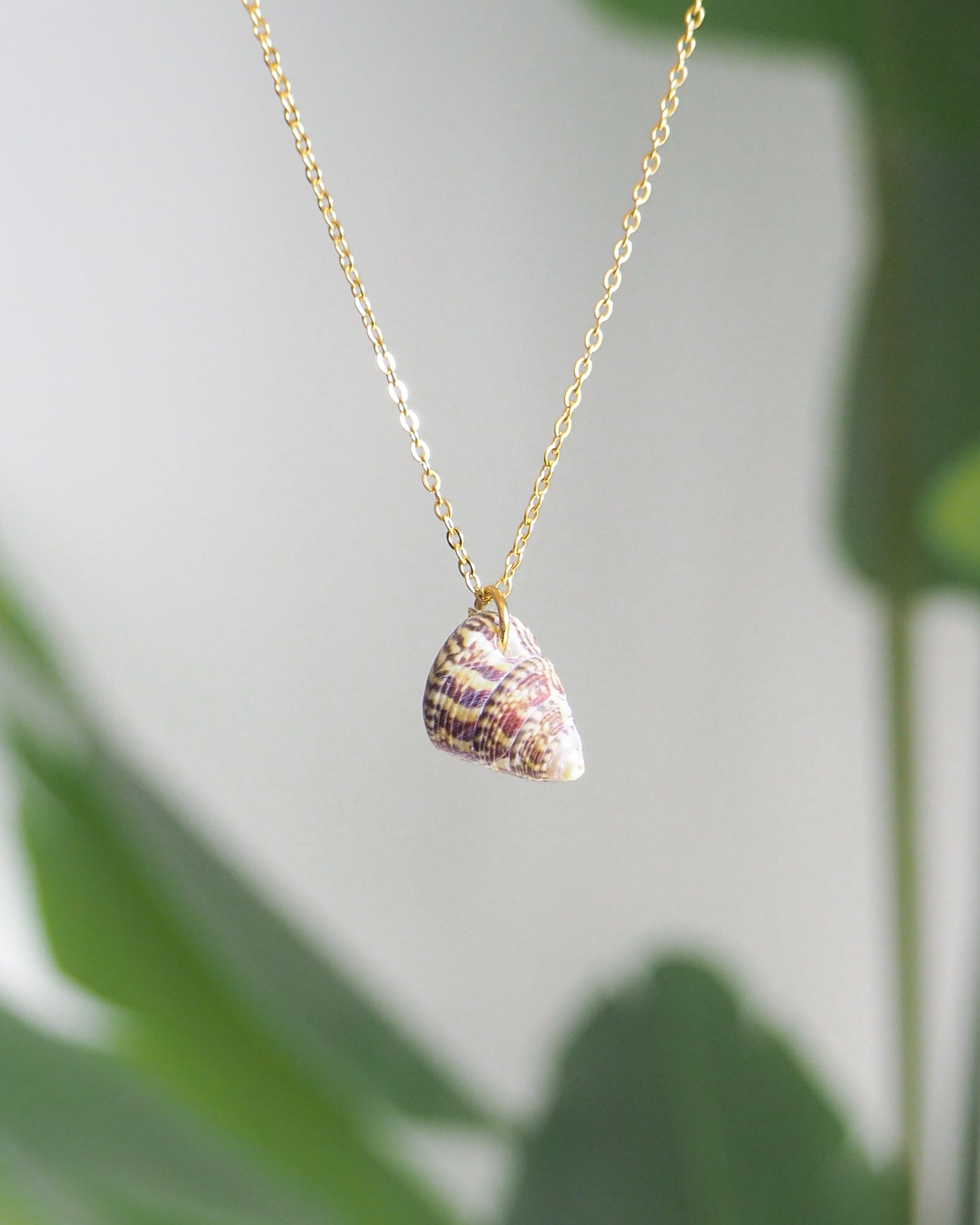 SEASHELL NECKLACE ~ Red Rough Top Shell