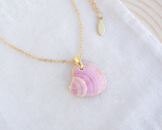 SEASHELL NECKLACE ~ Sunny Pink Venus Shell