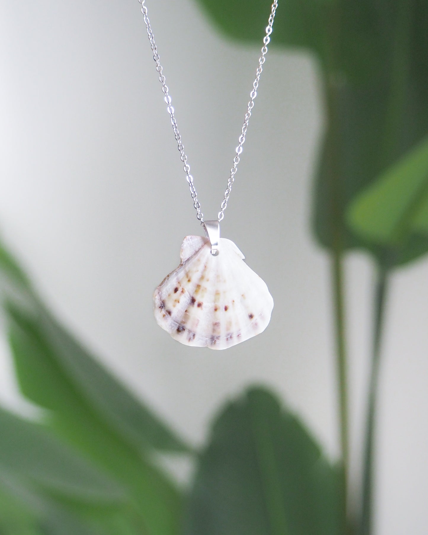 SEASHELL NECKLACE ~ White Grey Scallop Shell