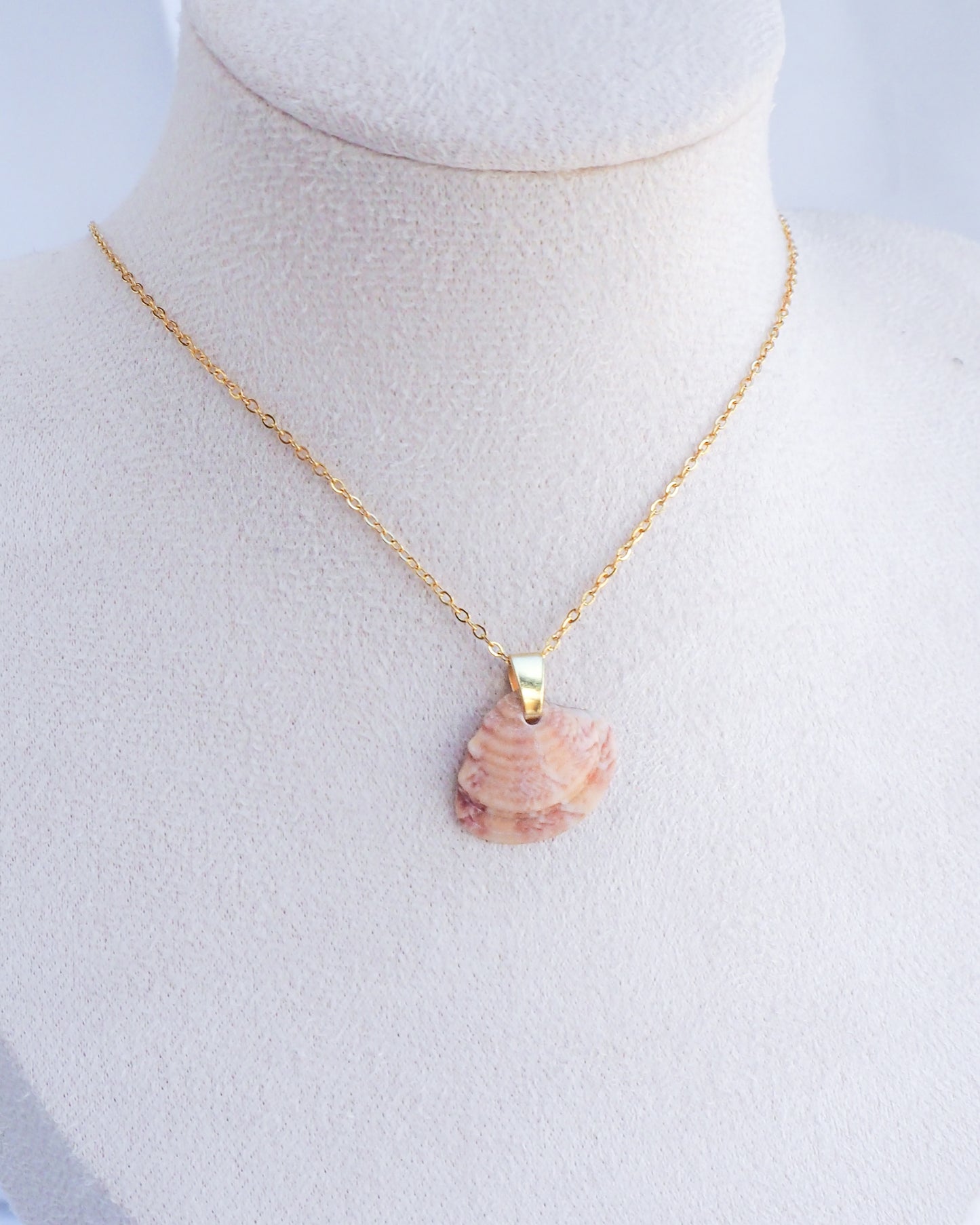 SEASHELL NECKLACE ~ Orange Coral Venus Shell II