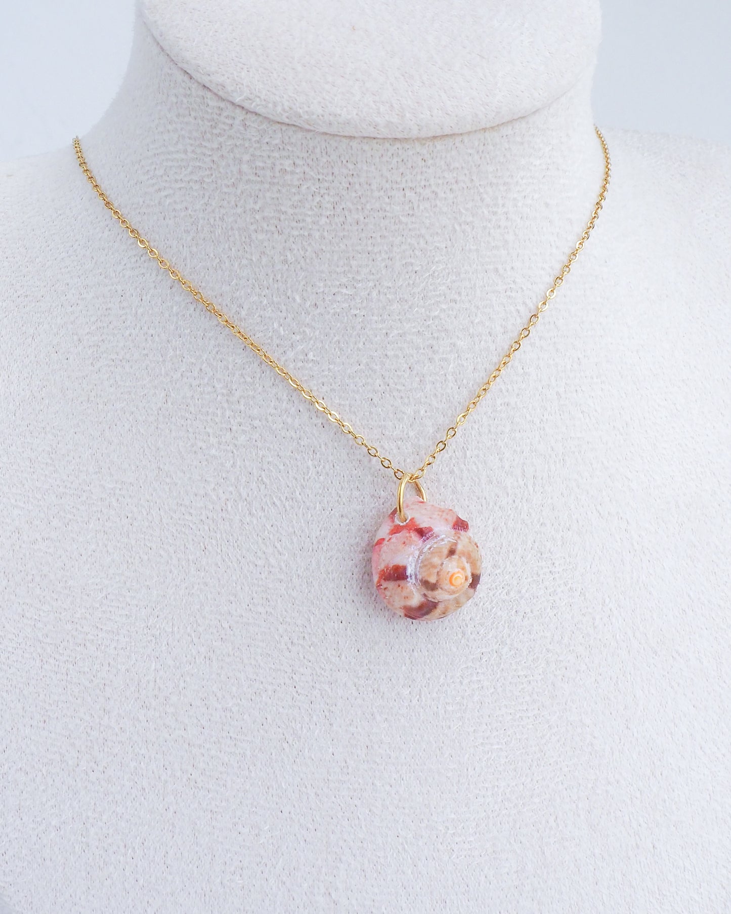 SEASHELL NECKLACE ~ Fuchsia Pink Magus Top Shell