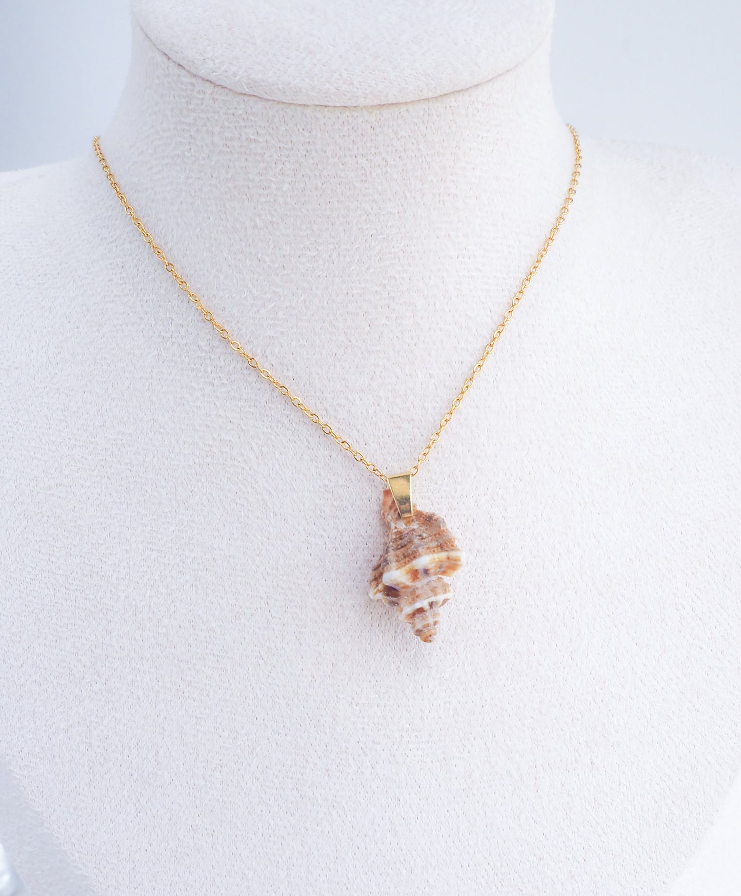 SEASHELL NECKLACE ~ Brown Sting Winkle Shell