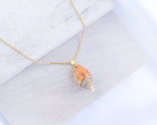 Close up of Light Rustic Dove Shell Gold Necklace on display, Tiny shell from Portugal