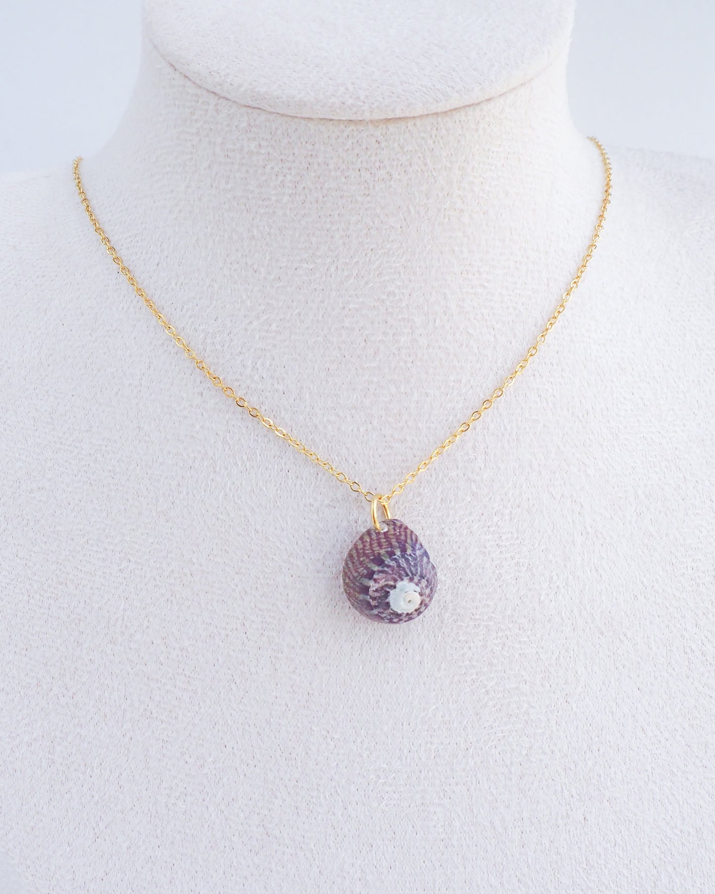 SEASHELL NECKLACE ~ Plum Striped Top Shell