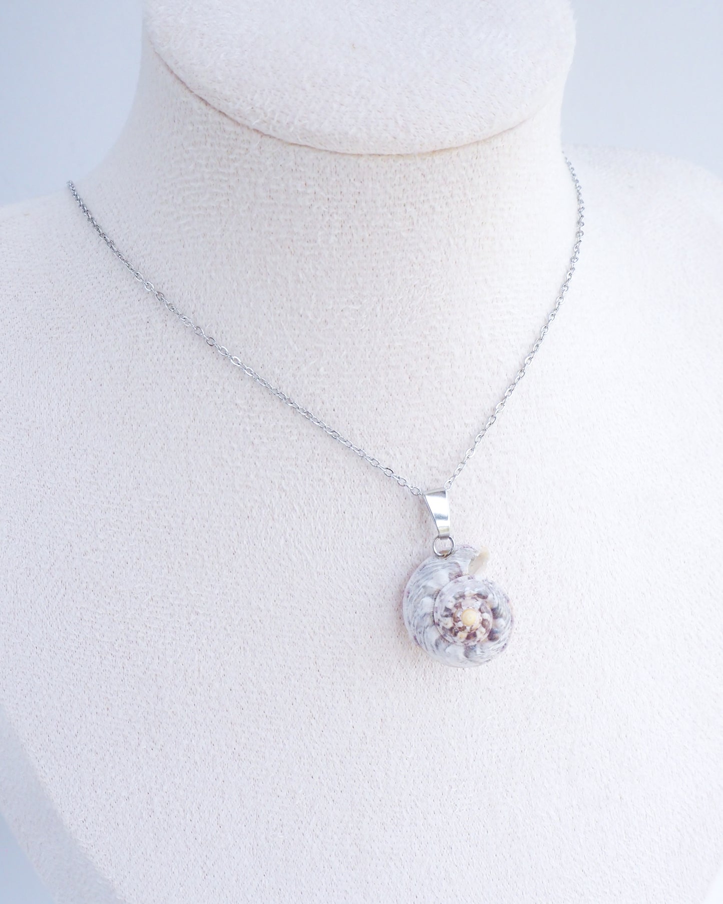 SEASHELL NECKLACE ~ Pearly Magus Top Shell