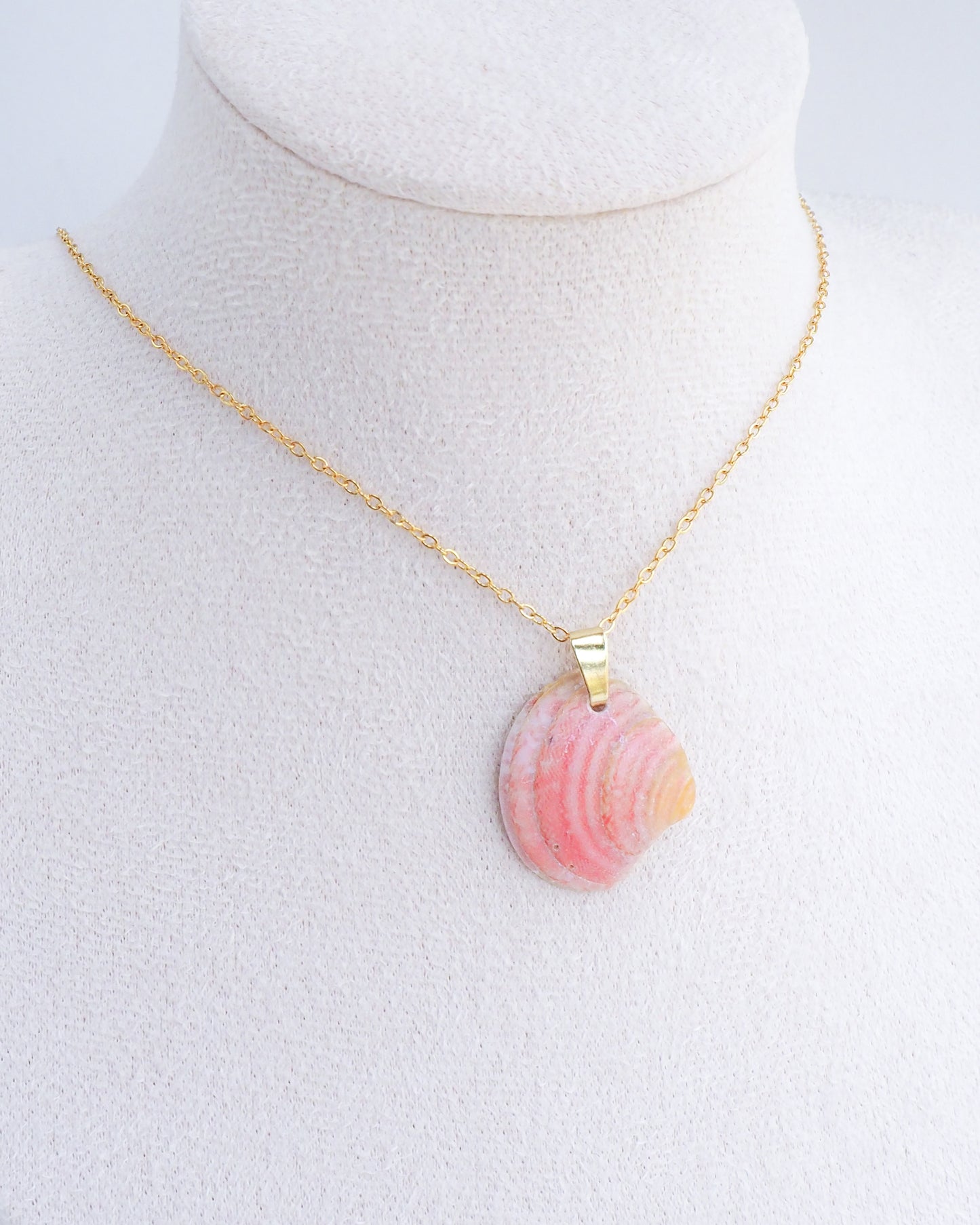 SEASHELL NECKLACE ~ Coral Venus Shell