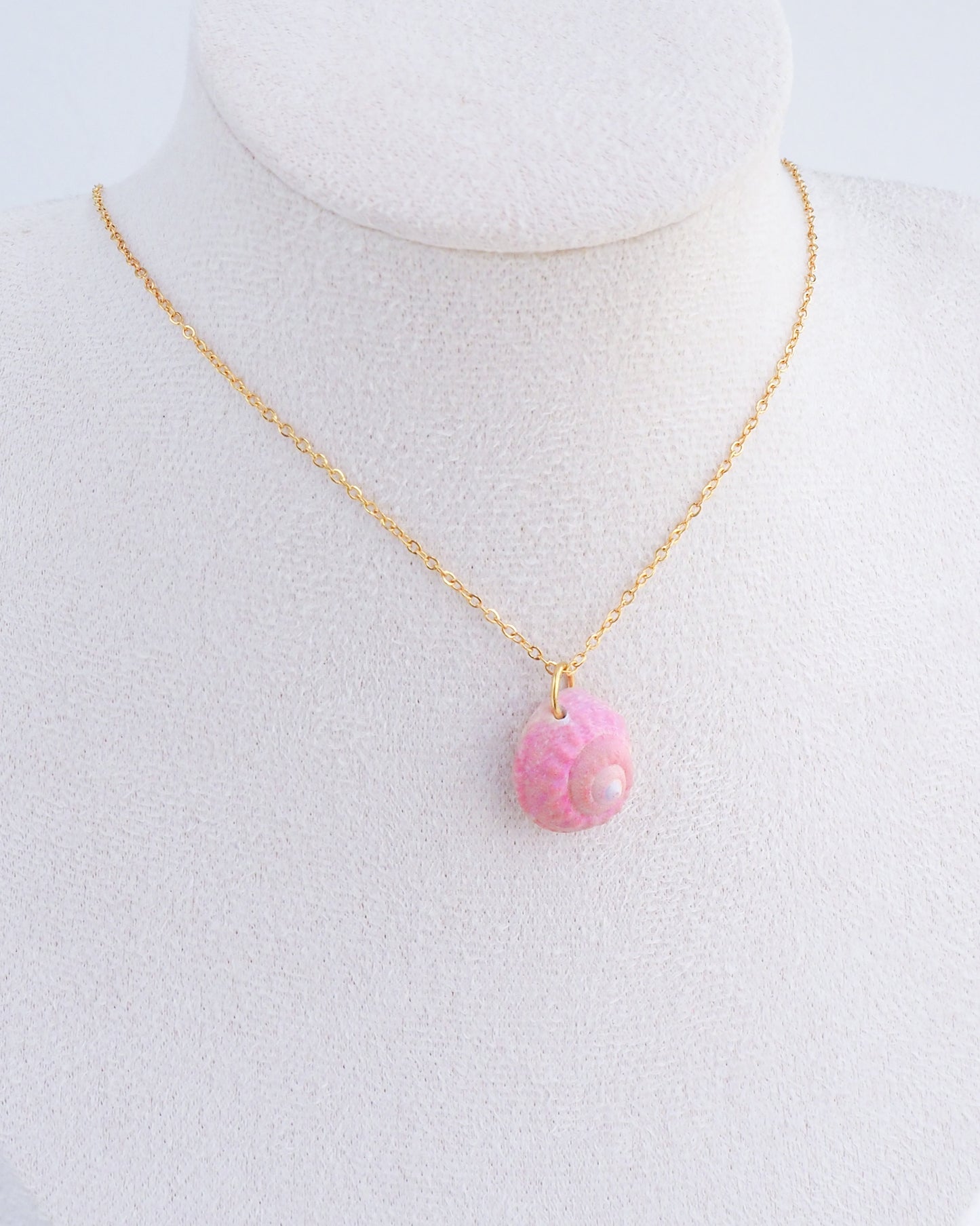 SEASHELL NECKLACE ~ Tiny Pink Magus Shell