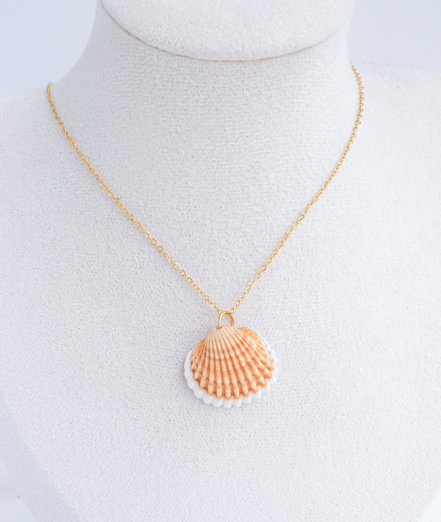 SEASHELL NECKLACE ~ Mediterranean Cockle Shell VII