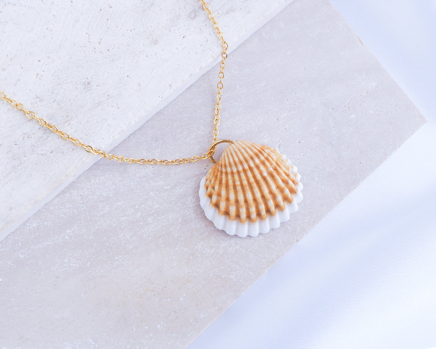 SEASHELL NECKLACE ~ Mediterranean Cockle Shell VII