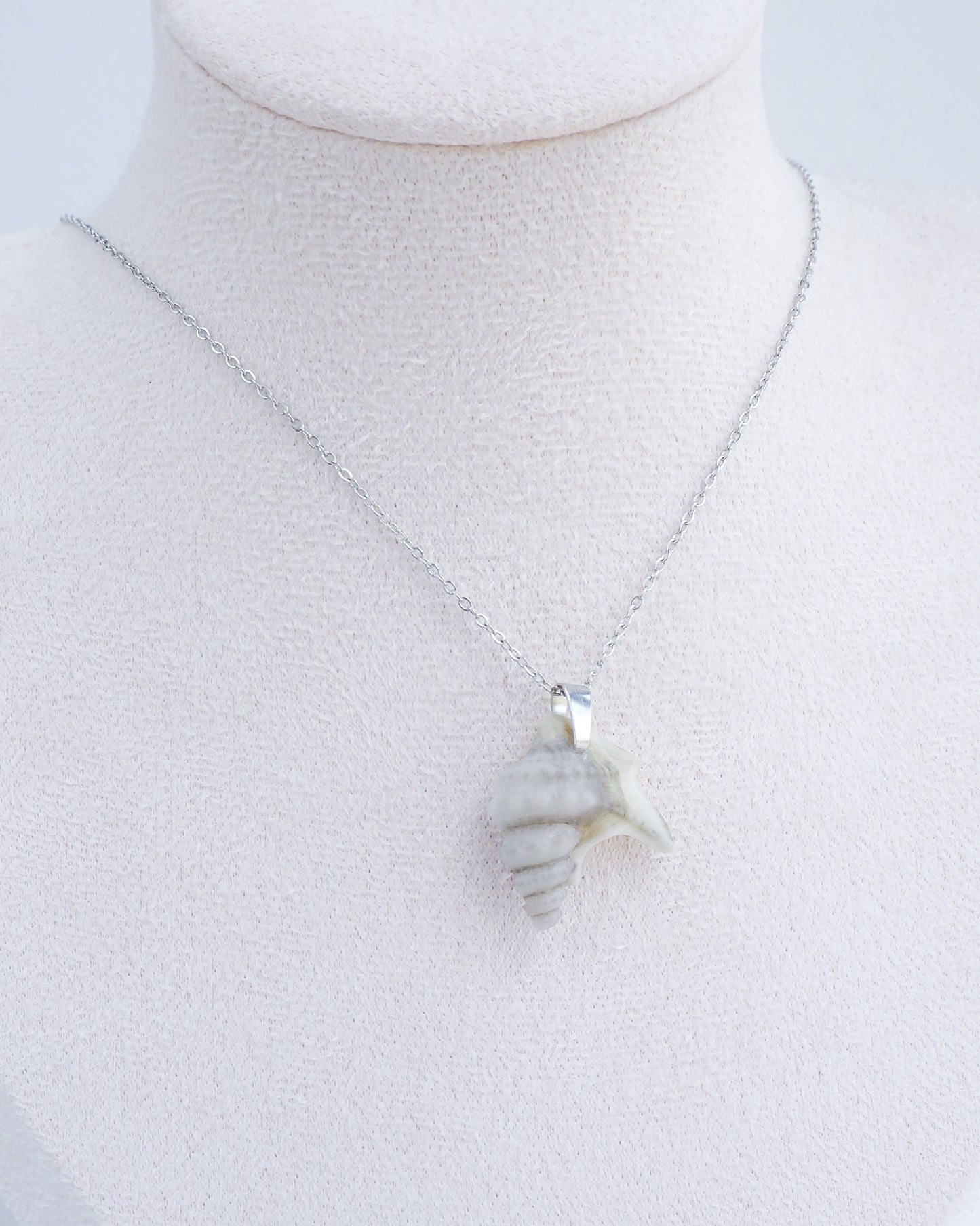 SEASHELL NECKLACE ~ Grey Pelican's Foot Shell