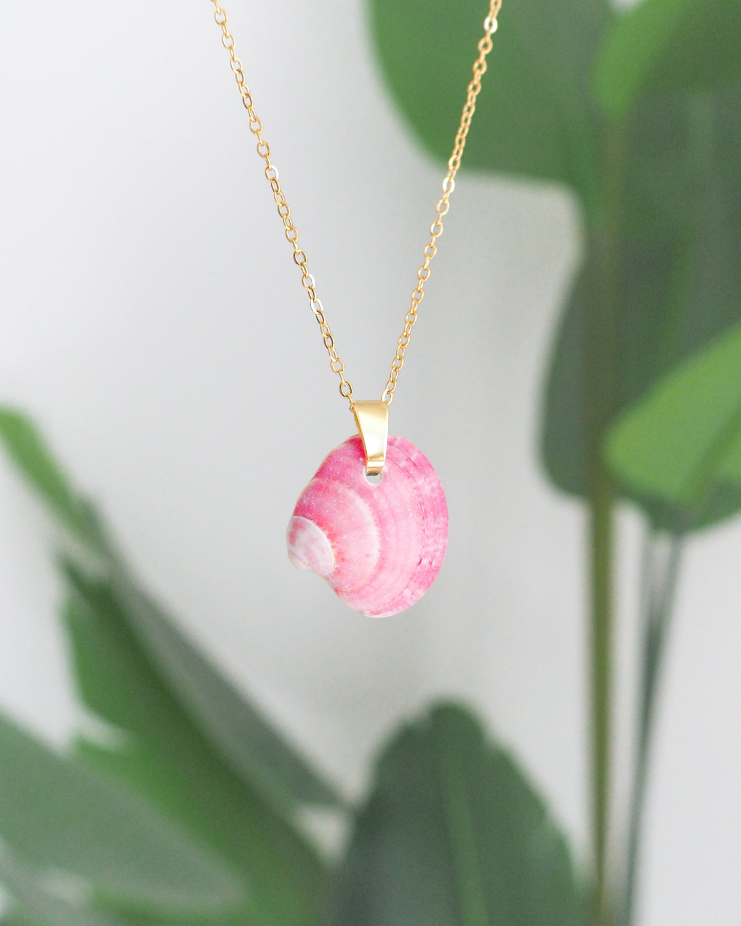 SEASHELL NECKLACE ~ Pink Venus Shell IV