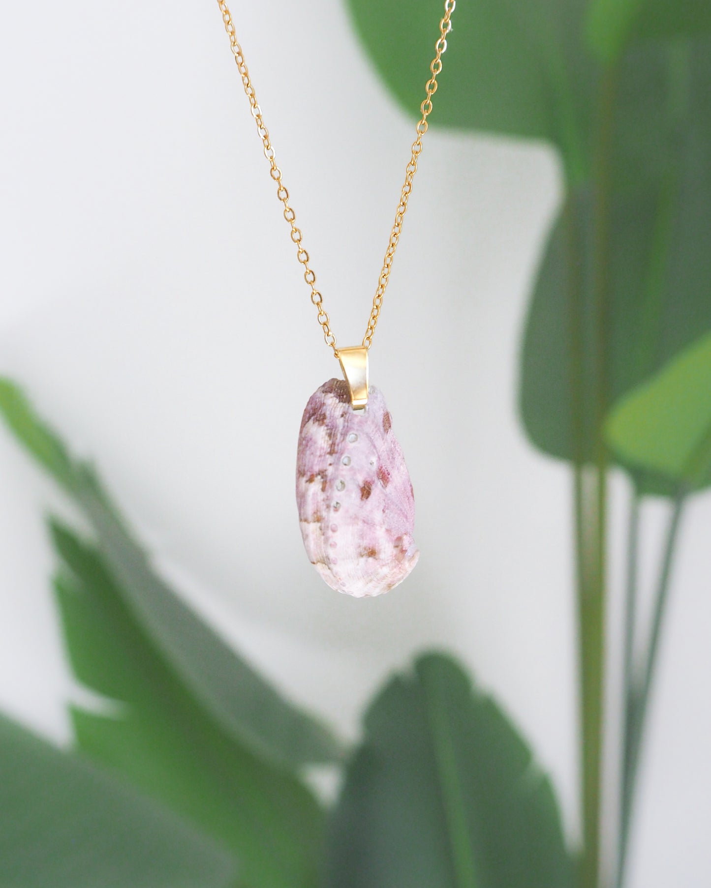 SEASHELL NECKLACE ~ Soft Lilac Abalone Shell