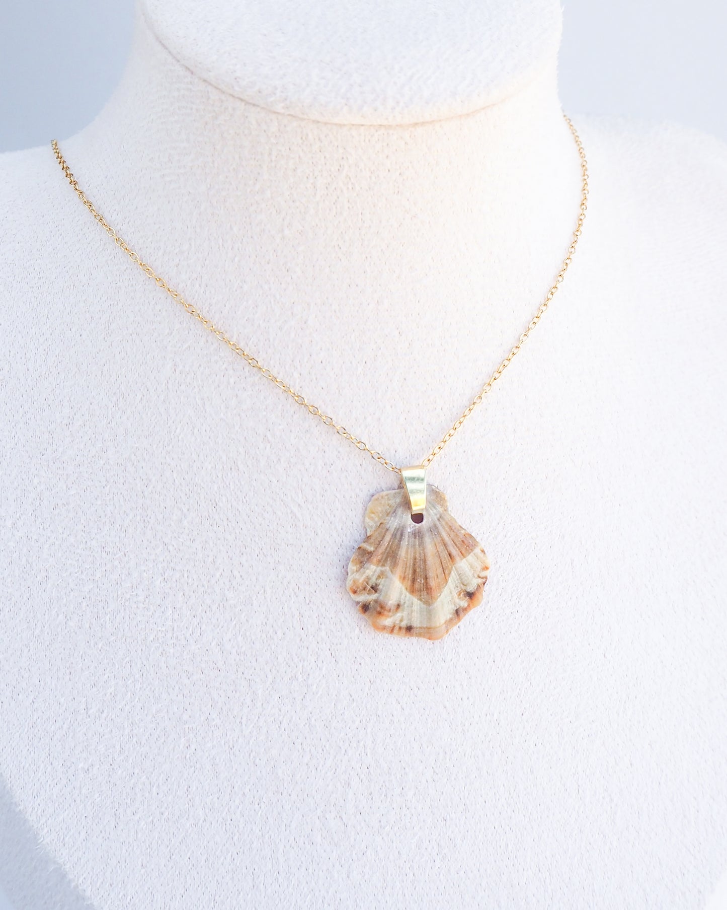 SEASHELL NECKLACE ~ Brown Moth Butterfly Scallop Shell