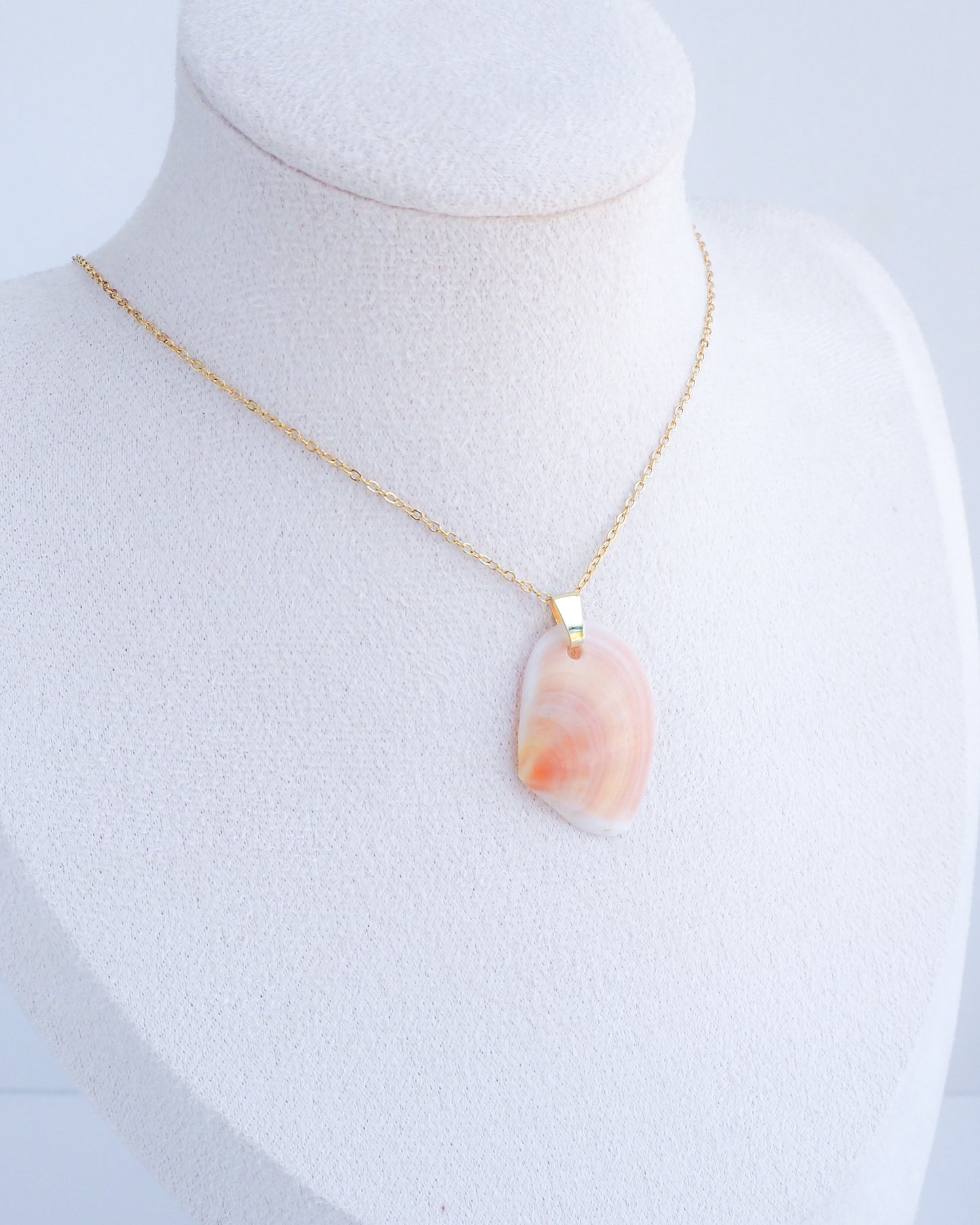 SEASHELL NECKLACE ~ Coral Thin Tellin Shell
