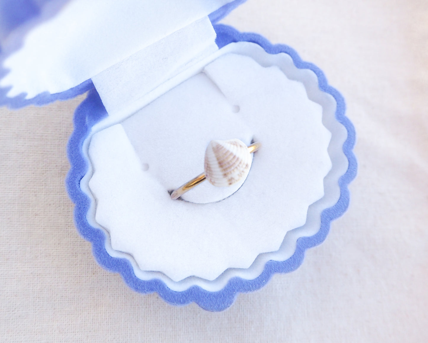 SEASHELL RING ~ Mini Brown Venus Shell II