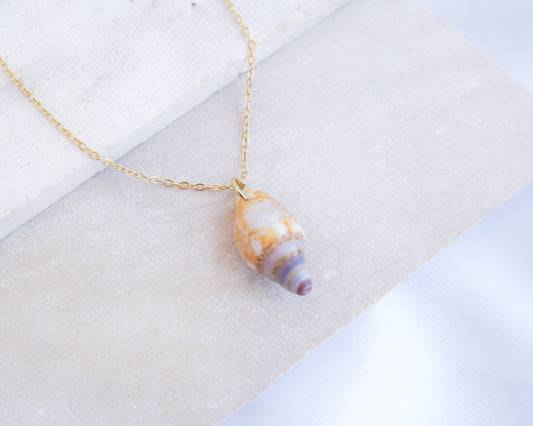 Tiny Light Rustic Dove Shell Gold Necklace displayed on stone front view, Dove Shell Necklace from Portugal, Real Shell Necklace, Sea by Lou