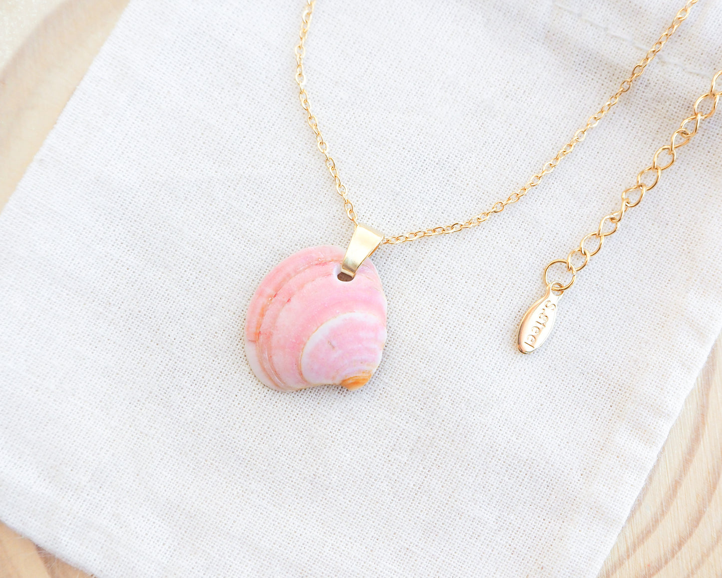 SEASHELL NECKLACE ~ Pink Venus Shell V