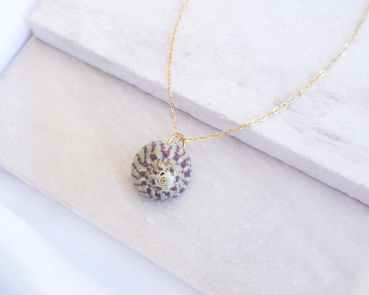 Necklace with a round pendant on a white surface. Fuchsia Green Striped Top Shell Necklace on stone display, with gold stainless steel chain. Real shell necklace from Portugal.