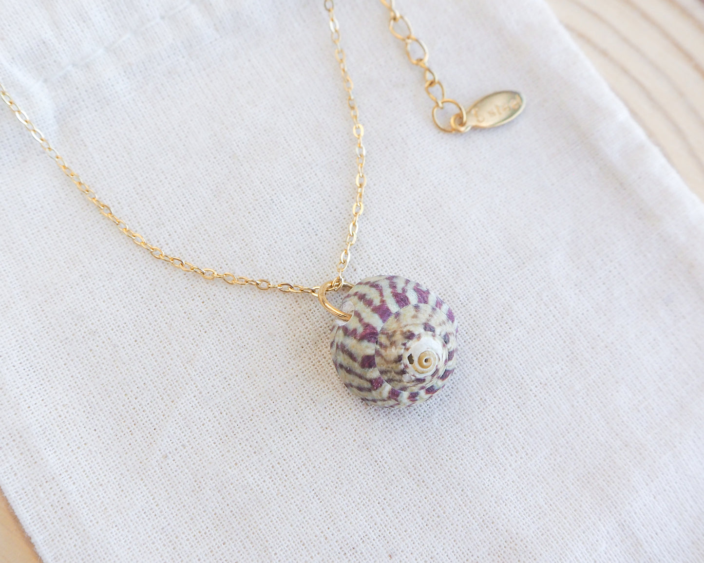 Fuchsia Green Striped Top Shell Necklace side view, with gold stainless steel chain. Real shell necklace from Portugal.