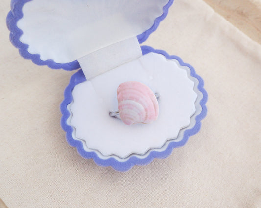 Pink shell-shaped object on a white plate with blue rim on a beige surface. Soft Pink Venus Shell Silver Ring in box displayed