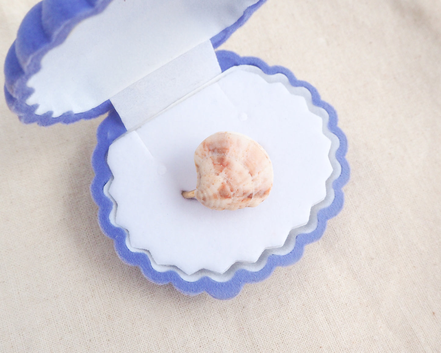 Soft Coral Marble Venus Shell Gold Ring III on stone displayed, Venus Shell ring from Portugal