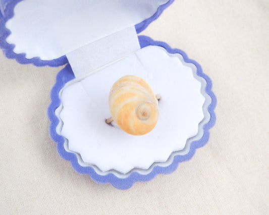Shiva Eye ring in blue white jewelry box and cotton surface. Orange Yellow Eye of Saint Lucia Shell Gold Ring displayed, Handcrafted Orange Shiva Eye Ring, Real Shiva Eye from Portugal, Handpicked eye of saint lucia, gold stainless steel ring