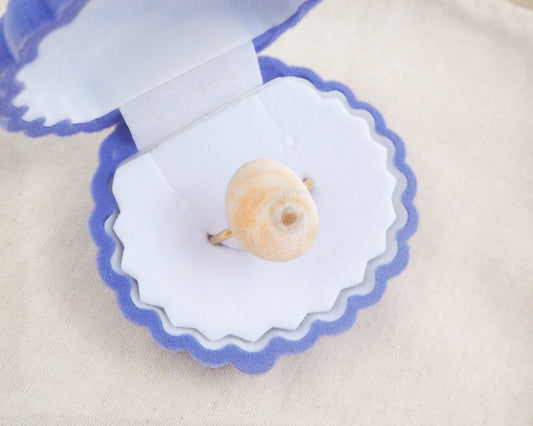 Shiva Eye ring in blue white jewelry box and cotton surface. Soft Yellow Eye of Saint Lucia Shell Gold Ring displayed, Handcrafted Orange Shiva Eye Ring, Real Shiva Eye from Portugal, Handpicked eye of saint lucia, gold stainless steel ring