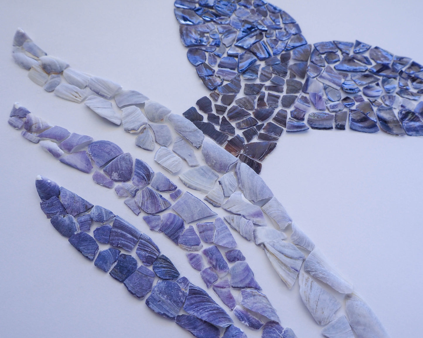4. Whale tail mussel seashell artwork, coastal wall art, Portuguese shells, gift shells Algarve, seabylou, sea by lou