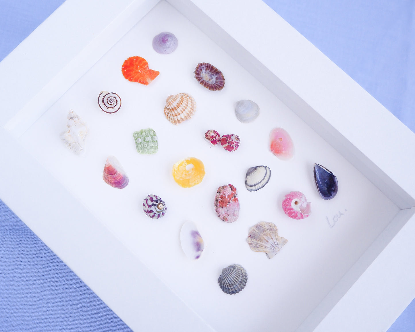 Side view of Seashell Artwork Mini Mix featuring 20 tiny beach treasures and shells handpicked from Portugal set in a white glass frame box. Coastal Beach Art for bookshelf and nightstand. seabylou, SEA by LOU